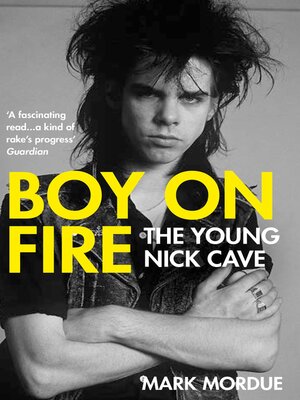 cover image of Boy on Fire
